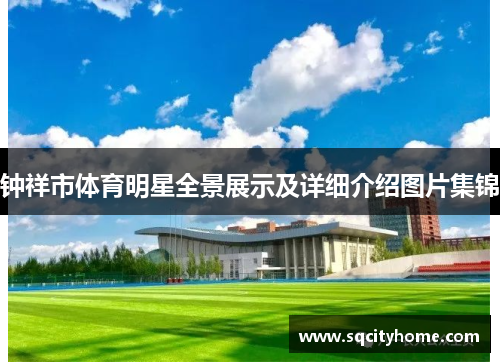 钟祥市体育明星全景展示及详细介绍图片集锦