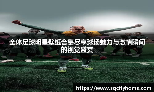 全体足球明星壁纸合集尽享球场魅力与激情瞬间的视觉盛宴