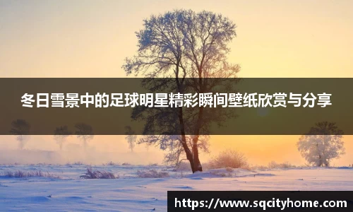 冬日雪景中的足球明星精彩瞬间壁纸欣赏与分享
