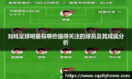 刘姓足球明星有哪些值得关注的球员及其成就分析