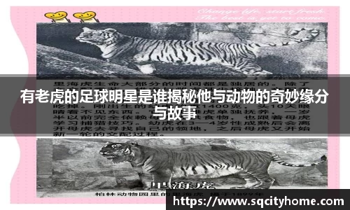 星空·综合体育官方网站